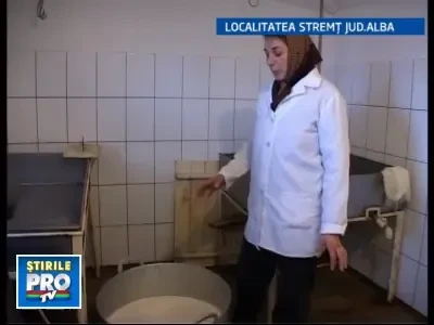 19produsetraditionalebeta040109