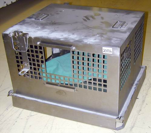 Animale macelarite, gasite de oamenii legii in SUA