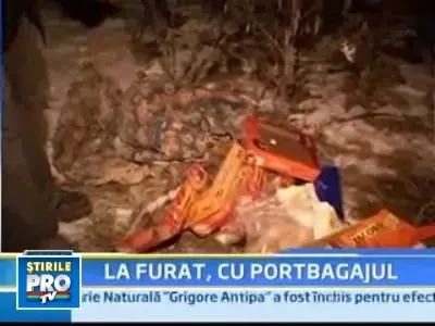 Sfarsit de cariera pentru doi tineri spargatori din judetul Timis