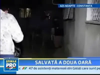 Poveste cu final fericit pentru magarusa gestanta din Constanta