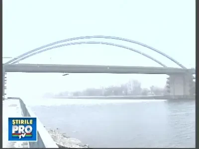 q19aruncataMedgidia080109