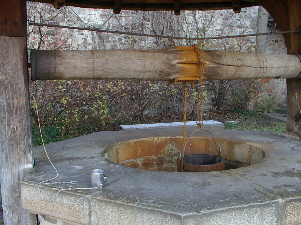 Un batran de 75 de ani a murit inecat in fantana din curtea casei