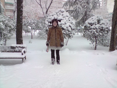 Palmierii din Madrid dardie de pica zapada de pe ei!