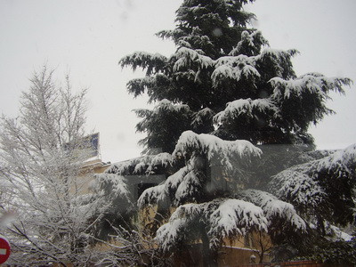 Turistii au dat asaltul la munte. Zapada “in luna lui marte”
