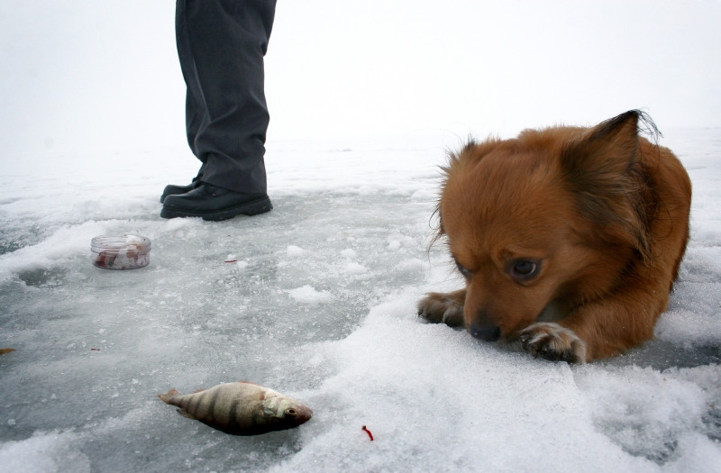 Pescarii din Capitala au iesit sa dea la copca!