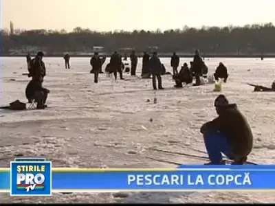 Pescarii din Capitala au iesit sa dea la copca!