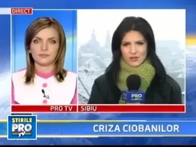 Criza financiara loveste puternic si afacerile ciobanilor