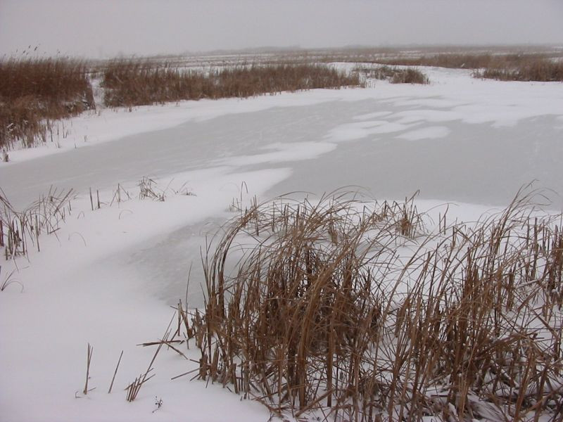 Parinti disperati. A plecat cu sania, dar a disparut in Siretul inghetat