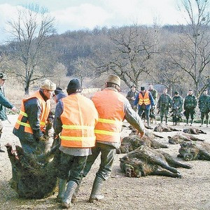 45 de mistreti pusi la pamant de invitatii lui Ion Tiriac