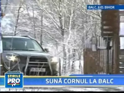 Agitatie mare la Balc! Tiriac, din nou la vanatoare de mistreti