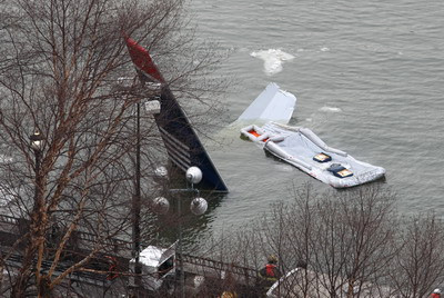 Cauzele prabusirii avionului de la New York: un stol de pasari!