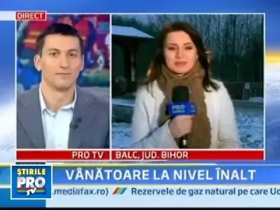 Balc: a inceput ultima zi a vanatorii de mistreti