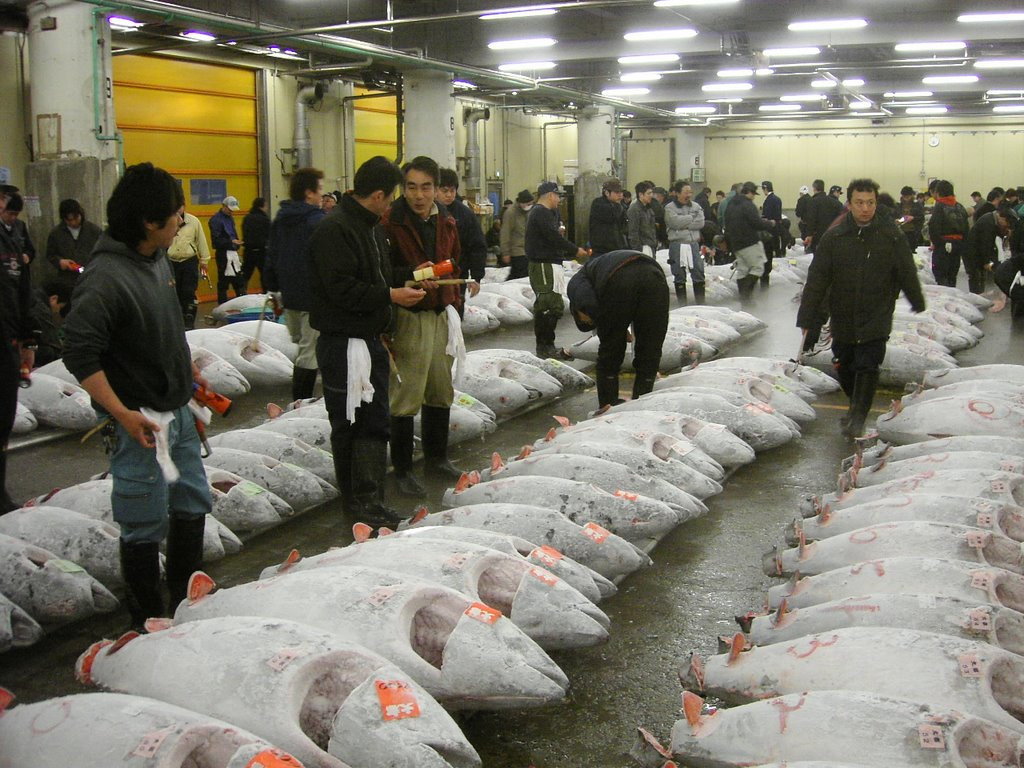Turistii, goniti din piata de peste din Tokyo, dupa ce si-au facut de cap!