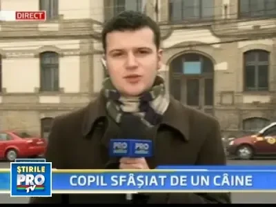 Un copil e in stare grava dupa ce a fost muscat de cap de un rottweiler