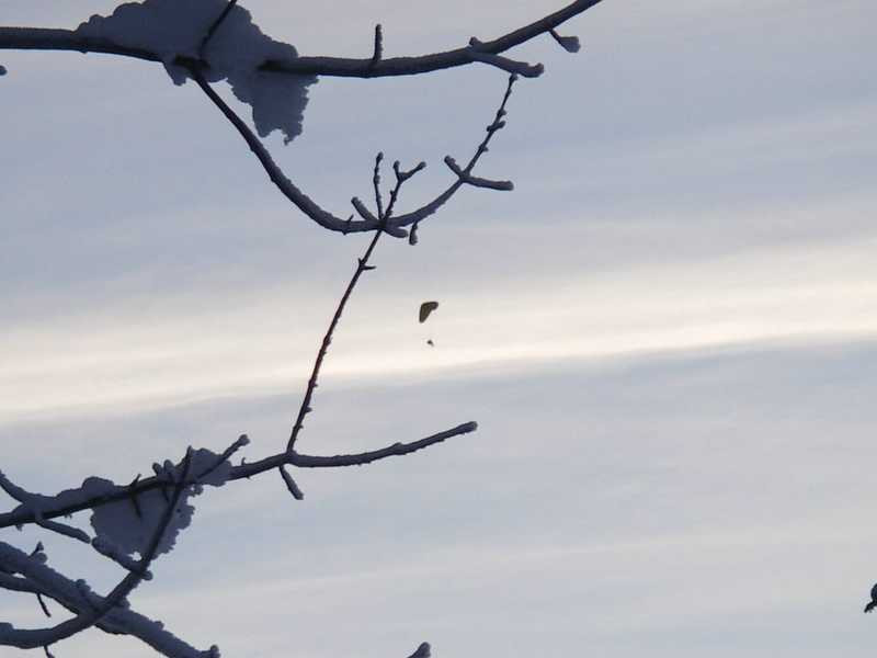 A stat agatat de firele de inalta tensiune mai bine de 10 ore