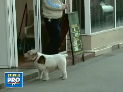 Maxim istoric! 1 euro = 4,3025 lei