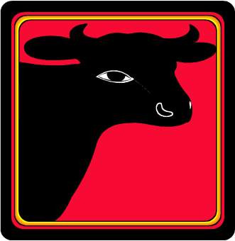 Cum va fi Anul Bivolului?