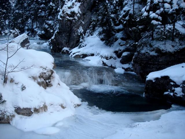 Salvat din apele inghetate ale Bistritei, un catel s-a intors pe sloiuri