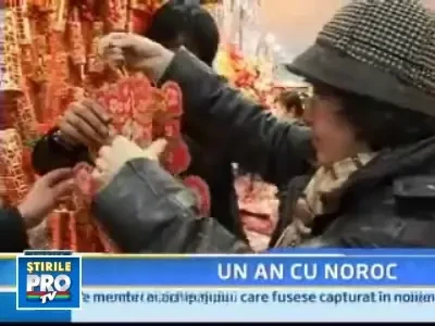 Scrie in horoscoape: anul bivolului ne scapa de criza!