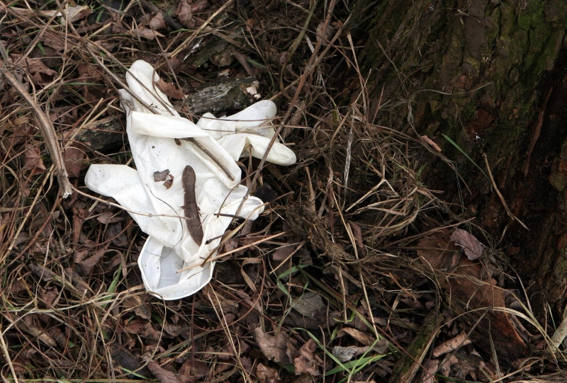 Oase umane, gasite pe un camp din judetul Arad