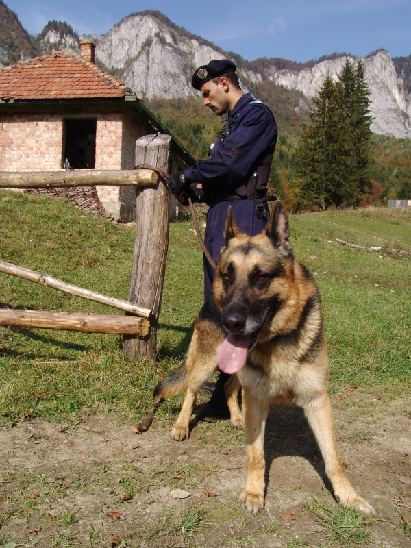 Camasa baiatului disparut de la un majorat, gasita arsa in spatele scolii
