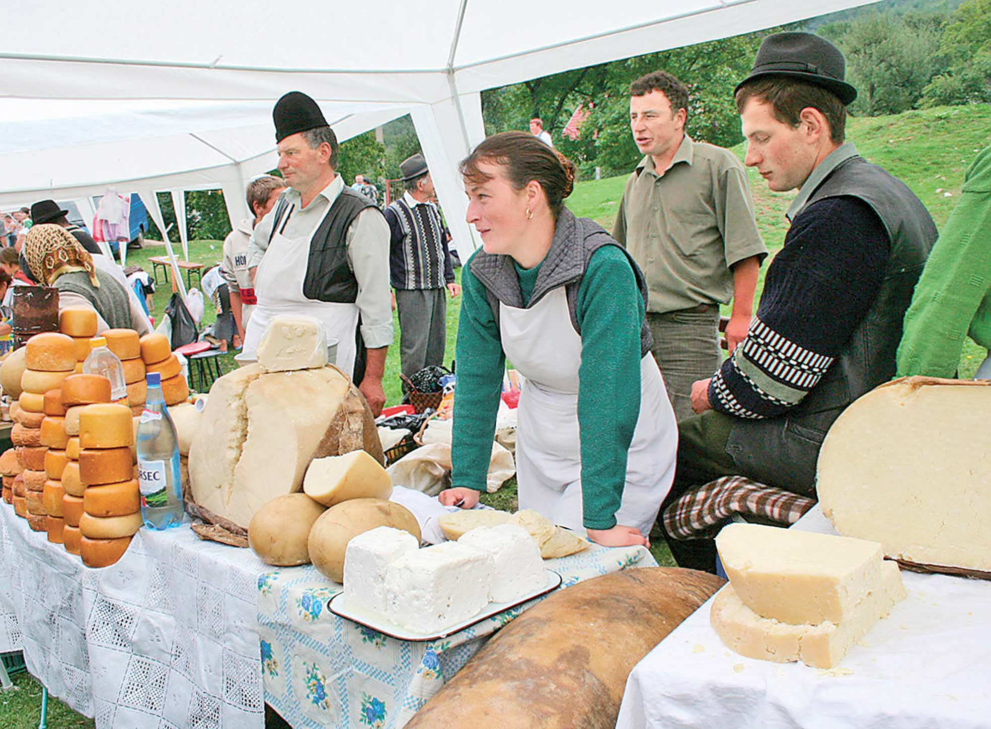 Etichete conform normelor UE pentru branza si lactate