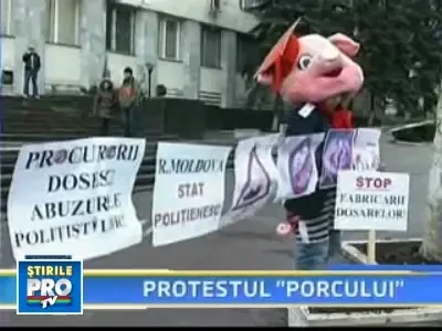 Protest inedit in fata Parchetului Chisinau. S-a costumat in porc