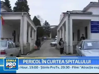 Muscata de caine chiar in curtea spitalului in care era internata!