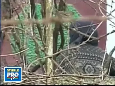 Violata si talharita la 90 de ani de doi adolescenti