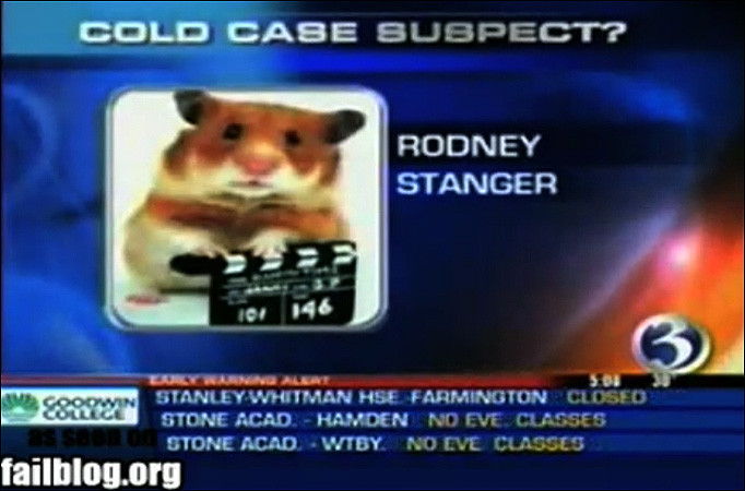 D'ale televiziunii! Hamster, suspect intr-o crima
