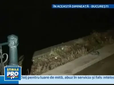Tocmai ce si-a luat carnetul si a plonjat spectaculos in Dambovita!