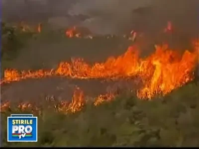 Week-end de foc in sudul Australiei! Peste 47 de grade Celsius