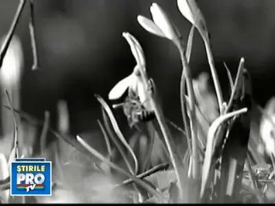 Primavara ne-a facut cu ochiul, dar de luni vine frigul!