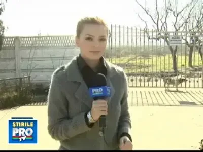 Au pierdut 20 de milioane de euro din neglijenta institutiilor statului