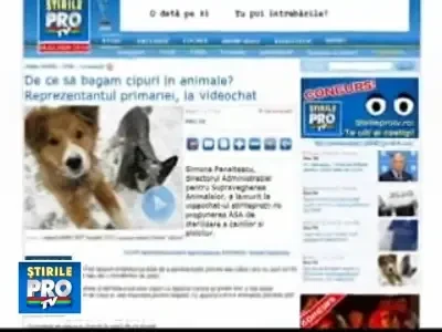 S-a starnit revolta printre proprietarii de caini si pisici din Bucuresti!