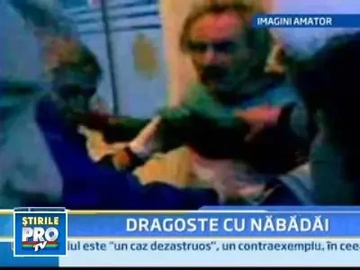 Meniu periodic oferit de concubina: manie, spirt medicinal si injunghieri