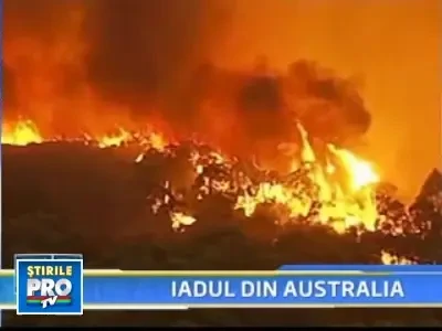 47,9 grade Celsius. 96 de morti in incendiile care au cuprins Australia