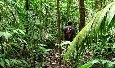 Sute de guatemalezi trudesc sa scoata la lumina o uriasa piramida mayasa