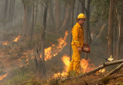 Un puternic incendiu de vegetatie a provocat haos in SUA