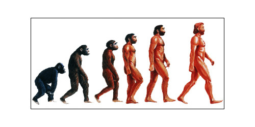 Descopera.ro te provoaca la un maraton de cultura generala