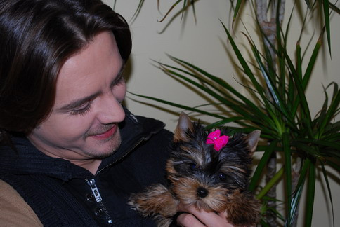 Tu ce nume i-ai da catelului lui Mihai Petre?