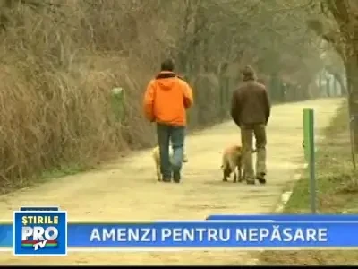 Gata cu vorba buna! Cine nu strange mizeria dupa cainele sau, plateste!