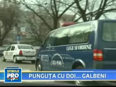 Gata cu vorba buna! Cine nu strange mizeria dupa cainele sau plateste!