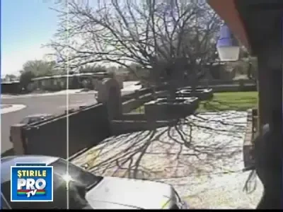 Au "zburat" prin geam! Niste hoti prinsi in flagrant nu au mai nimerit usa