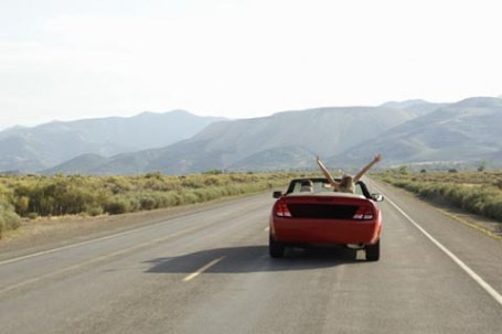 Ce nu fac barbatii pentru o amanta!