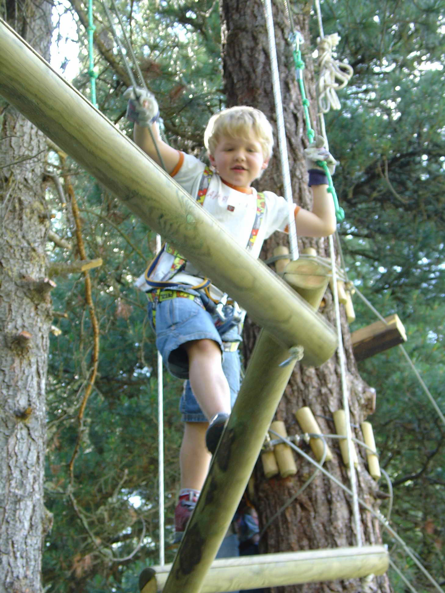 Parc pentru... micii intreprinzatori!