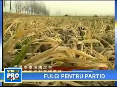 In China ninge la comanda partidului unic!