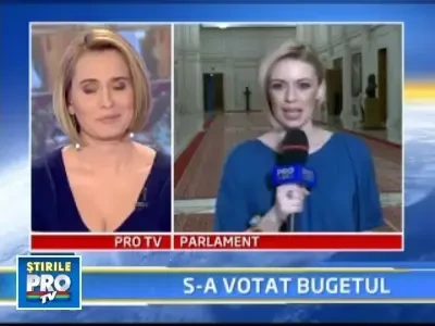 Dupa dezbateri interminabile, a fost votat bugetul pe 2009!