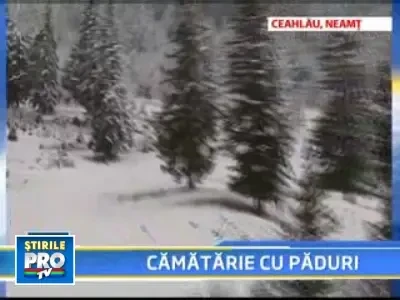 Romania, te iubesc! Cum le-au luat americanii padurea satenilor din Ceahlau