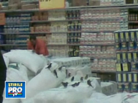 Nu au voce sa vorbeasca, dar au cioc sa ciuguleasca!